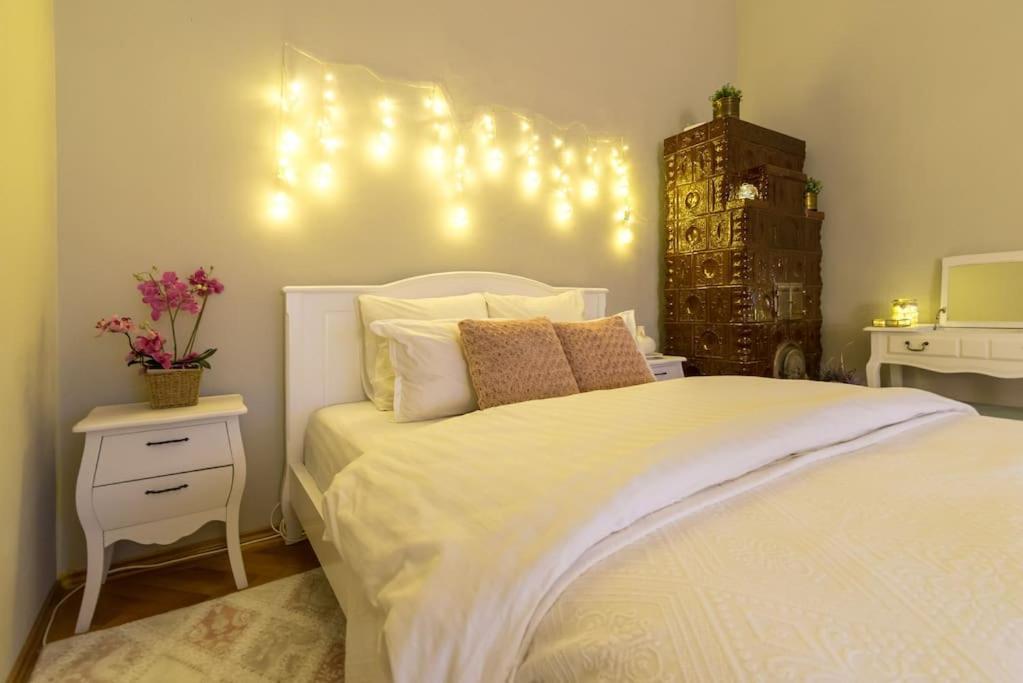 No.8: Lovely & Cosy 3-Room Heart Of The City Timisoara Exterior foto